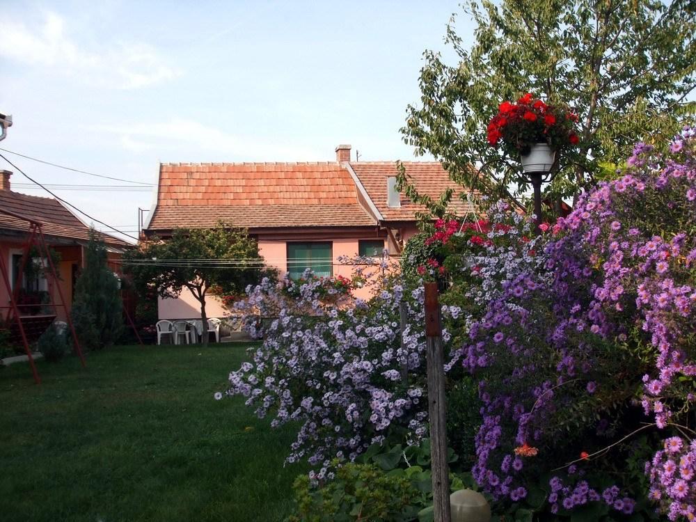 Lugas Szallas Jászberény Extérieur photo